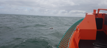 Kilo in the water viewed from a boat