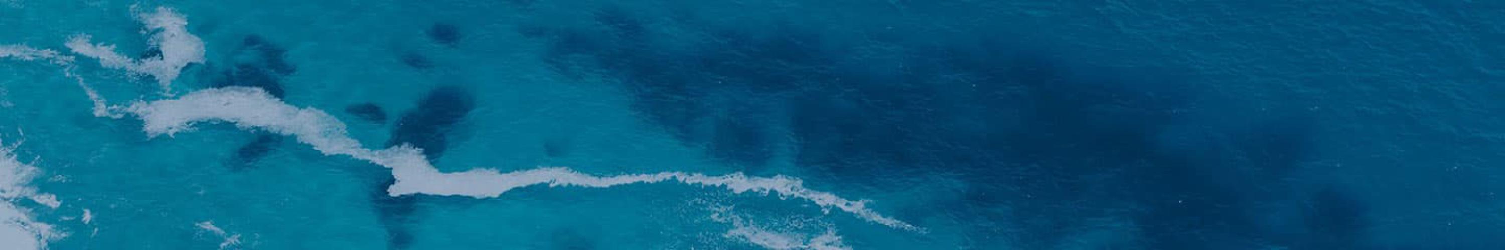 Tropical Water